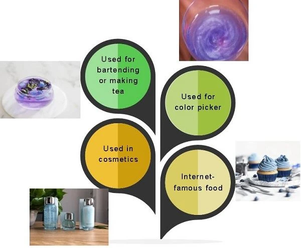 application