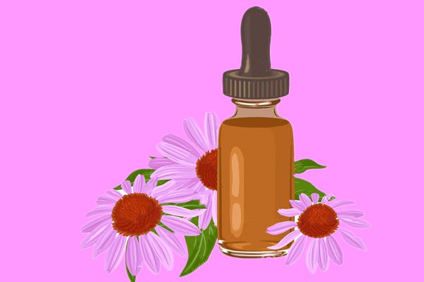 Echinacea Extract Chichoric Acid Echinacea Extract Chichoric Acid