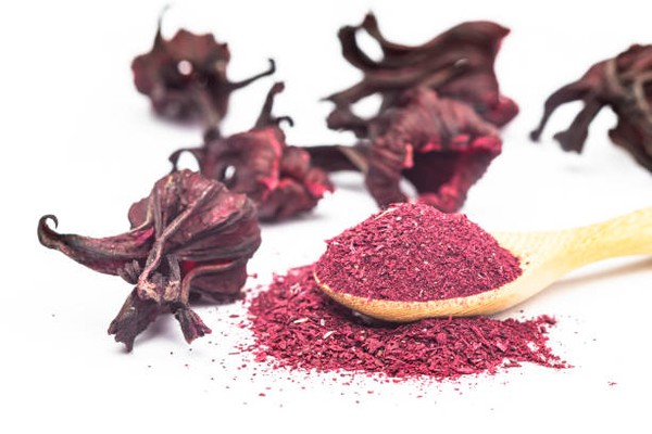 Hibiscus Extract Hibiscus Extract