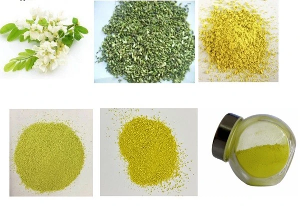 quercetin powder quercetin powder