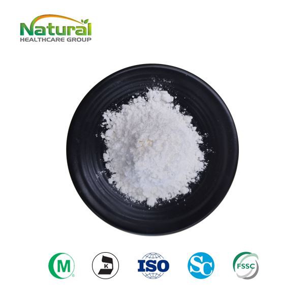 Andrographis Paniculata izvleček v prahu