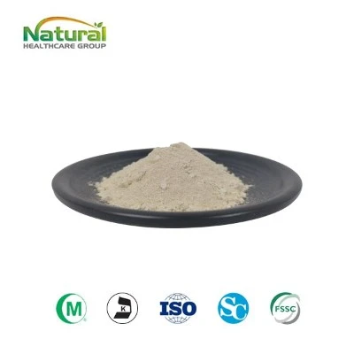 Garcinia Cambogia HCA v prahu