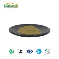 Izvleček listov koprive v prahu