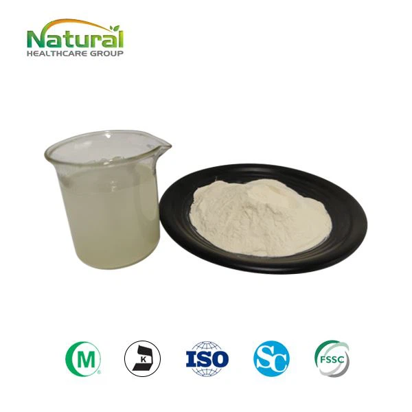 yeast-beta-glucan-powder-2
